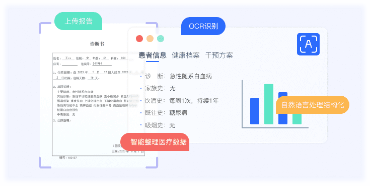 报告智能OCR识别系统界面